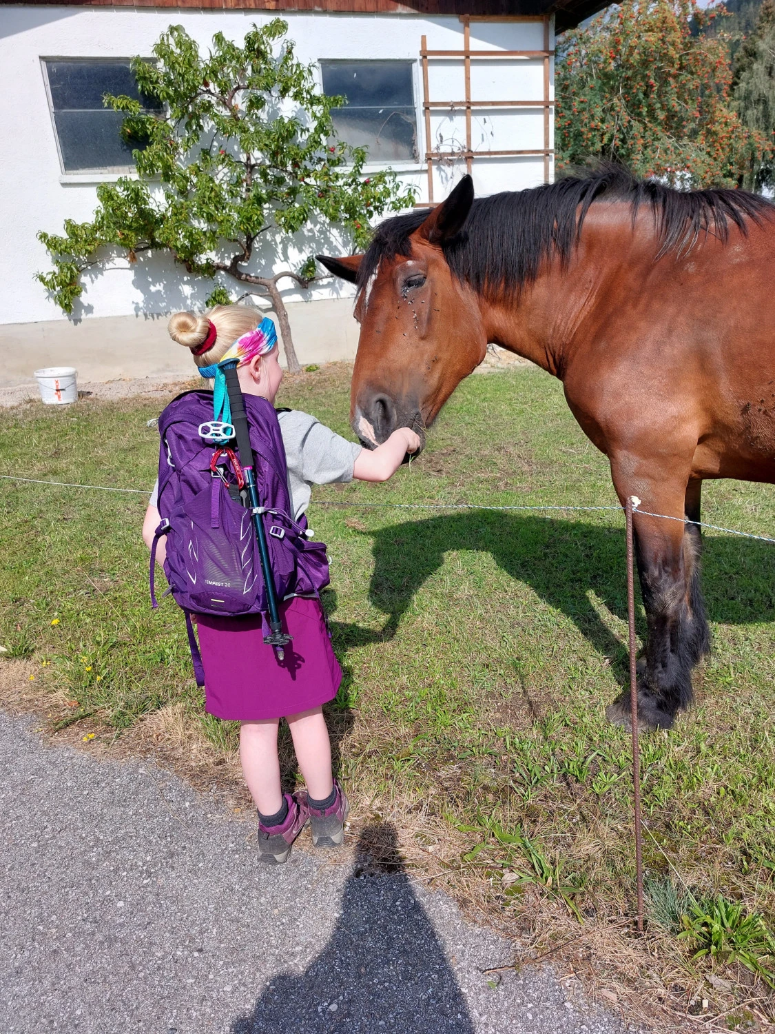 Osprey Women's Tempest 20 - Walking Backpack 4 Osprey Women's Tempest 20 - Walking Backpack - Image 2